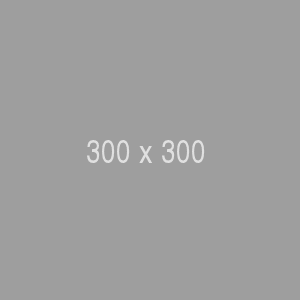 A simple gray square with "300 x 300" text in the center.